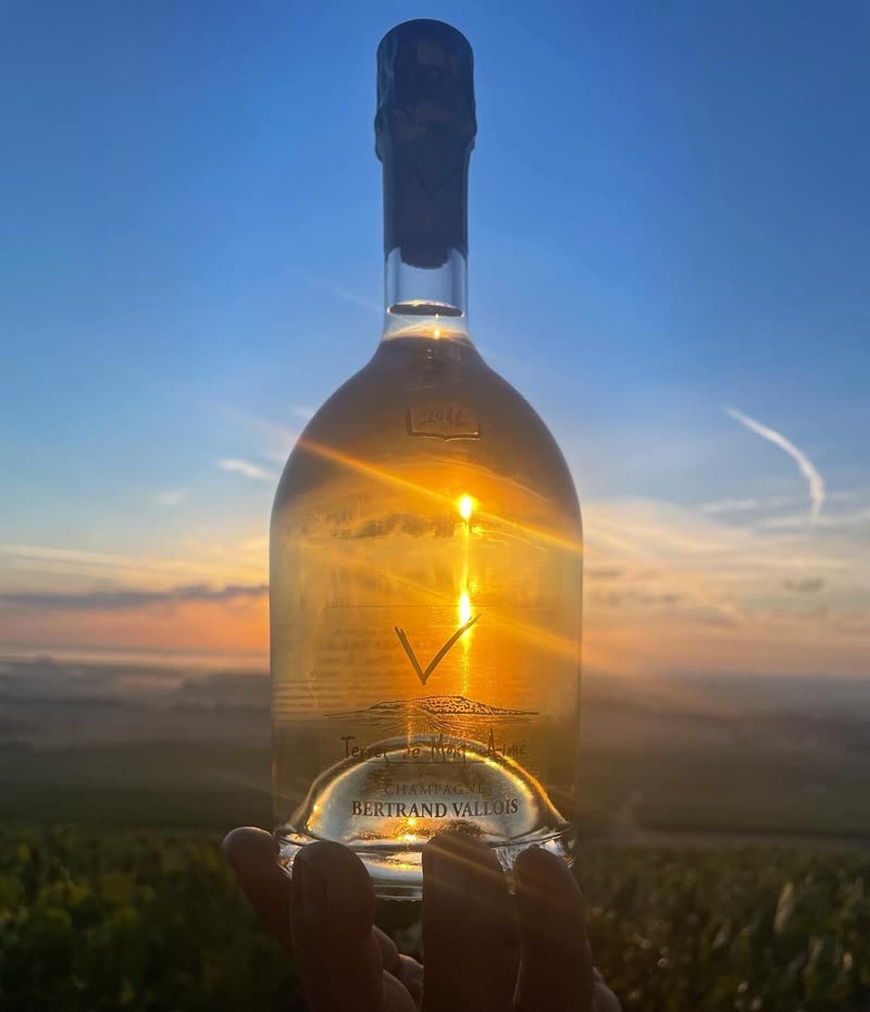 Notre cuvée parcellaire Terres de Mont Aimé - Millésime 2016