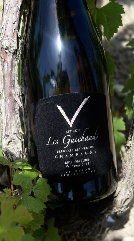 La bouteille Les Guichauds 2022 debout dans la parcelle des Guichauds